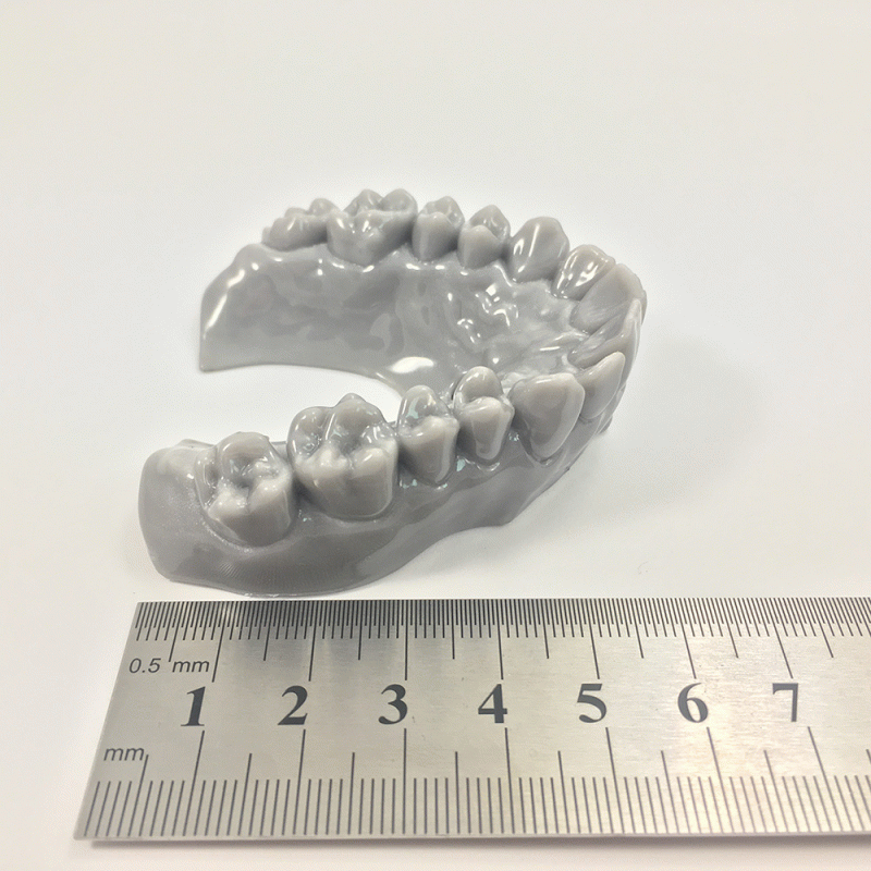 Dentistry - copy of a scanned teeth with scale